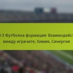 featured-image-1-3-3-3-futbolna-formatsiia-vzaimodeistviia-mezhdu-igrachite-khimiia-sinergiia