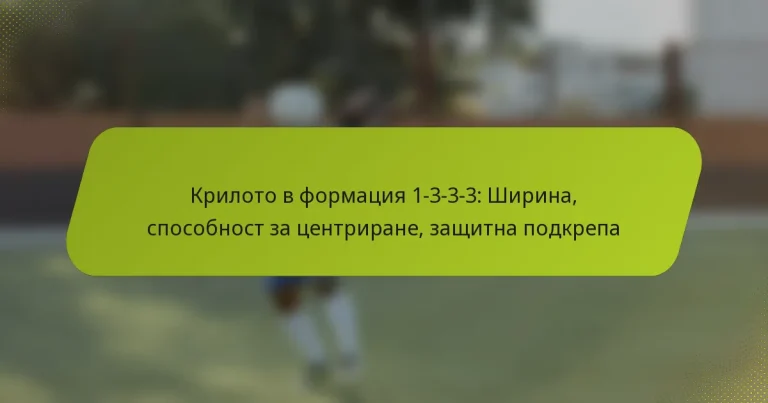 featured-image-kriloto-v-formatsiia-1-3-3-3-shirina-sposobnost-za-tsentrirane-zashchitna-podkrepa