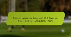 featured-image-vtorichen-napadatel-v-formatsiia-1-3-3-3-dvizhenie-vkarvane-na-golove-podkrepa-v-igrata